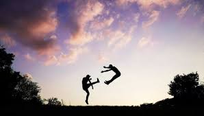 Image result for Tae-jitsu