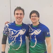 Image result for Leeds Dodge