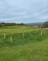 Image result for Walmersley Golf Club