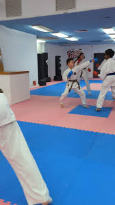 Image result for GKR KARATE - ESSEX & SUFFOLK