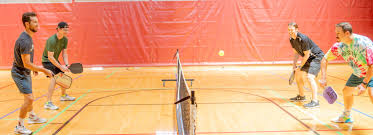 Image result for Springfields Badminton Club