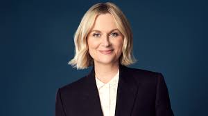 Image result for Bugaboo Cameleon Amy Poehler