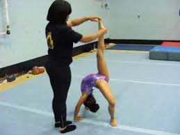 Image result for Appley Bridge Gymnastics Club