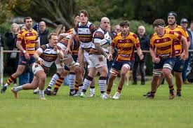 Image result for Southend Rugby Football Club Ltd