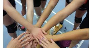 Image result for Ellesmere Port Eels Volleyball Club