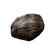 Attēlu rezultāti vaicājumam “Inonotus obliquus”