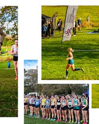 Image result for Calderglen Harriers