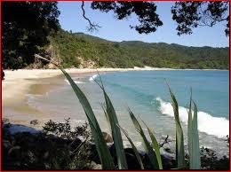 Image result for new chums beach