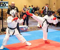 Image result for Great Britain Martial Arts Academy