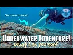 Image result for Underwater Adventures