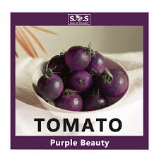 Afbeeldingsresultaat voor prudence purple tomato