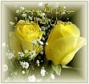 http://t0.gstatic.com/images?q=tbn:ANd9GcQoYktblWXtt882ThGrjKETRHkcgmN-k9576pRoxf8PgQcKoxxiFDl3b0s