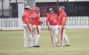Image result for Halstead Colts Cricket Club