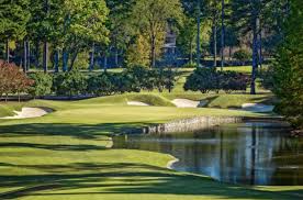 Image result for Tadworth Athletic Club