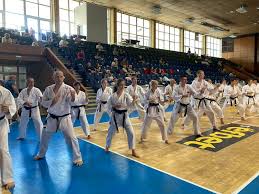 Image result for Devonport Shotokan Karate Club