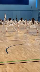Image result for Waltham Abbey Shotokan Karate Club
