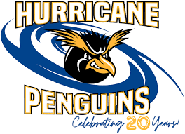 Image result for Grimsby Penguins Swimming Club