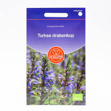 Image result for Dracocephalum moldavicum