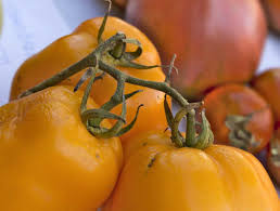 Afbeeldingsresultaat voor banana legs tomato