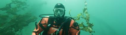 Image result for Seabug Divers