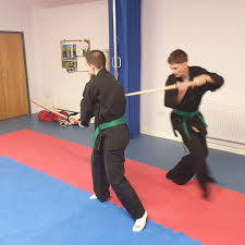 Image result for Bujinkan Crawley Dojo