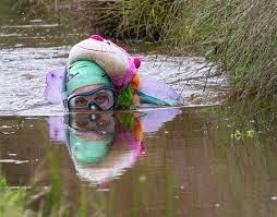 Image result for Bog Snorkelling Championships