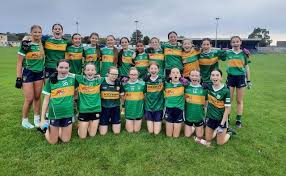 Image result for John Mitchel`s Gaelic Athletic & Social Club