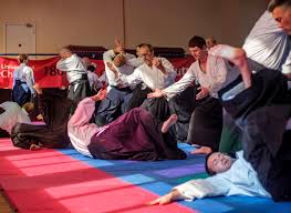 Image result for Newcastle Aikido Club