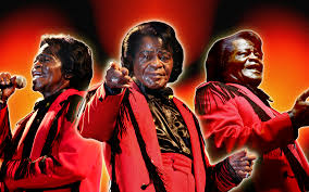 Attēlu rezultāti vaicājumam “Bryum funkii”