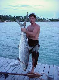 Image result for Chanos chanos