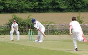 Image result for Sawbridgeworth Cricket Club