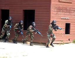 Image result for Mavet Phoenix Tactical Division