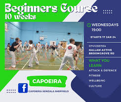 Image result for Capoeira Senzala Grantham