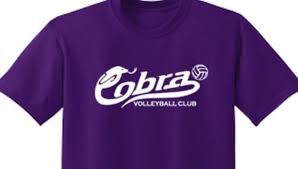 Image result for Chesterfield Cobras Volleyball Club