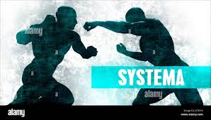 Image result for Combined self defence arts