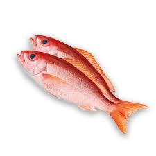 Image result for Rhomboplites aurorubens