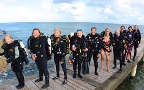 Image result for innerspace divers
