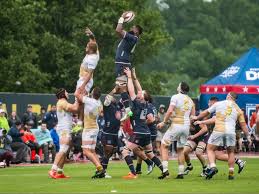 Image result for Dolgellau Old Grammarians Rugby Football Club