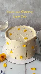 Image result for Kea Smbc