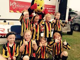 Image result for Brendon Bees Junior Football Club