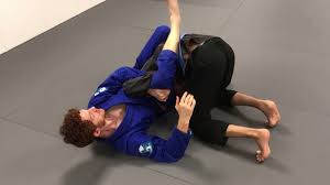 Image result for Ju Jitsu Tavistock