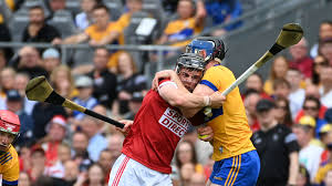 Image result for Clarehurlers