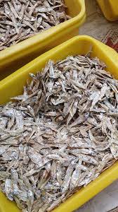 Attēlu rezultāti vaicājumam “Charales”