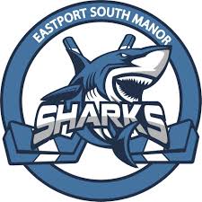 Image result for South Axholme Sharks Asc