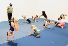 Image result for Halifax Sports Acro Gymnastics Club