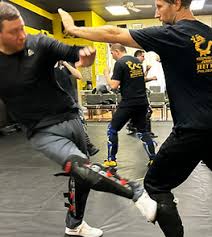 Image result for Somerset Jeet Kune Do