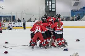 Image result for Telford Junior Ice Hockey Club