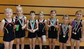 Image result for Kestrel Gymnastic Group