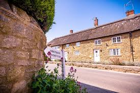 Image result for Abbotsbury Cricket Club