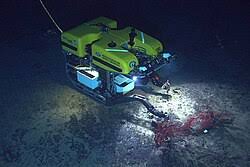 Image result for Pyle Octopush Club